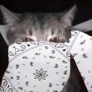 Meet your Posher, Caleb